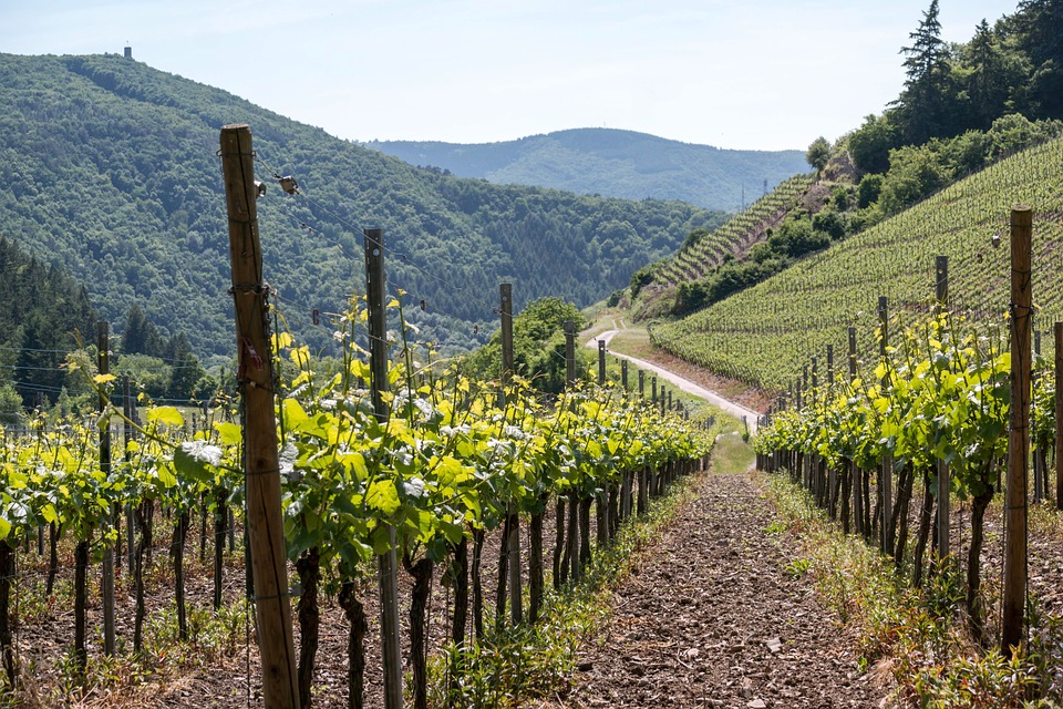 Regalpruefung Bad Neuenahr-Ahrweiler