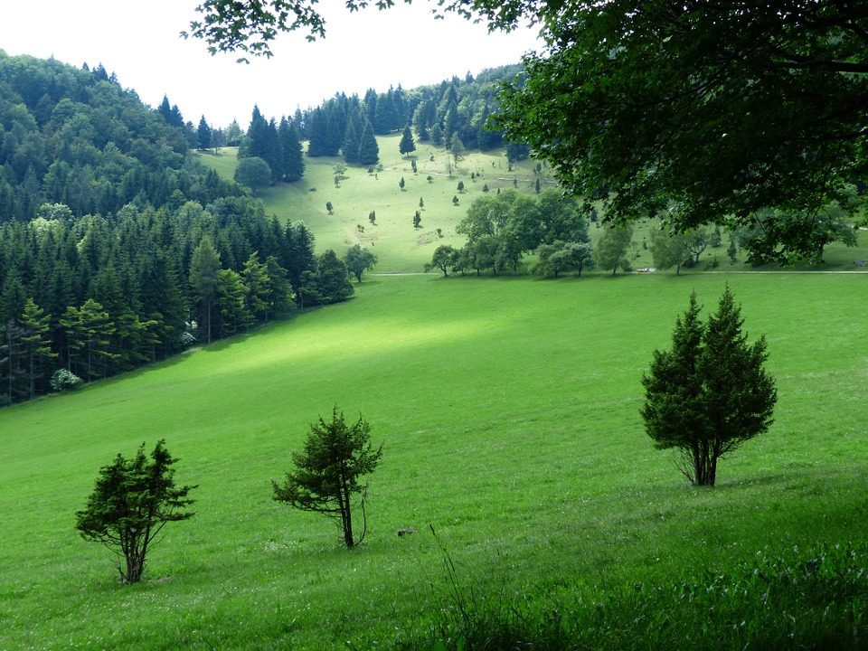 DGUV V3 Pruefung Balingen