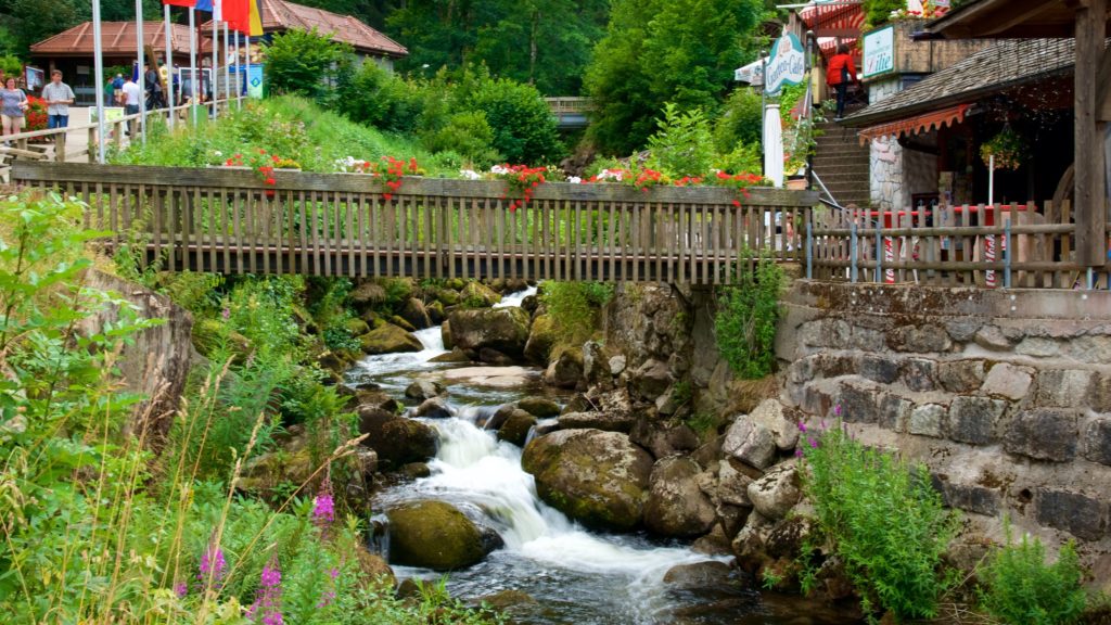 Dguv V3 Prufung Triberg Im Schwarzwald.httpsa.travel assets.comfindyours phpviewfinderimagesres70164000164757 Central Black Forest Area