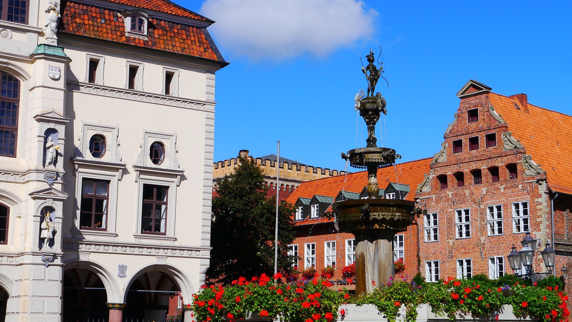 DGUV Vorschrift 3 Prüfung Lüneburg